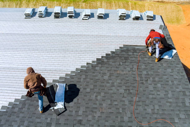 Best Roof Repair Services  in Colon, MI