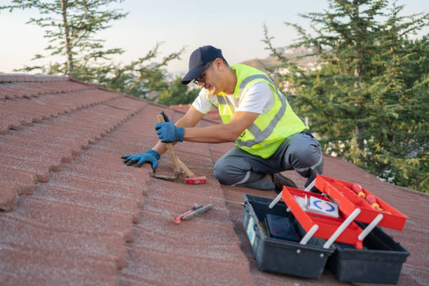 Roof Gutter Cleaning in Colon, MI