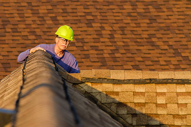 Best Roof Repair Services  in Colon, MI